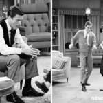dick van dyke show