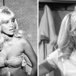 joy harmon
